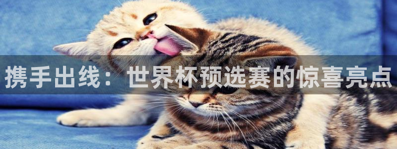 2026年世界杯对阵图:携手出线:世界杯预选赛的惊喜亮点