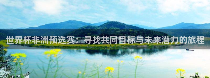 世界杯预选赛直播：世界杯非洲预选赛：寻找共同目标与未来潜力的旅程