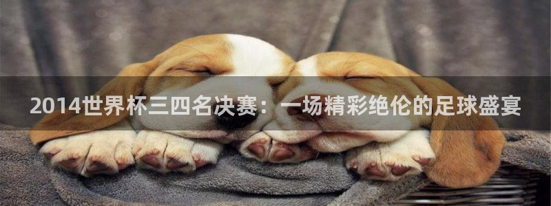 世界杯2026赛程时间表格：2014世界杯三四名决赛：一场精彩绝伦的足球盛宴