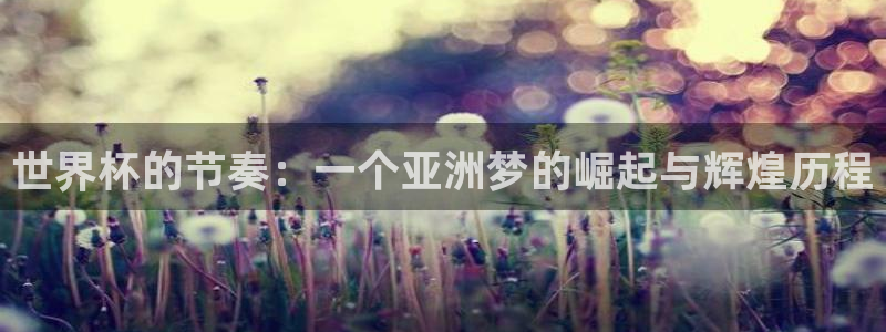 欧洲世界杯预选赛：世界杯的节奏：一个亚洲梦的崛起与辉煌历程