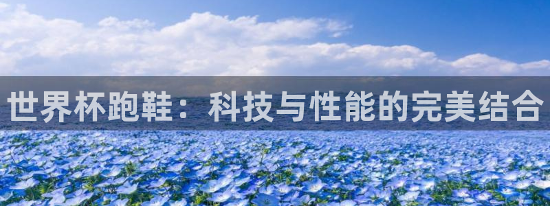 世界杯直播网站：世界杯跑鞋：科技与性能的完美结合