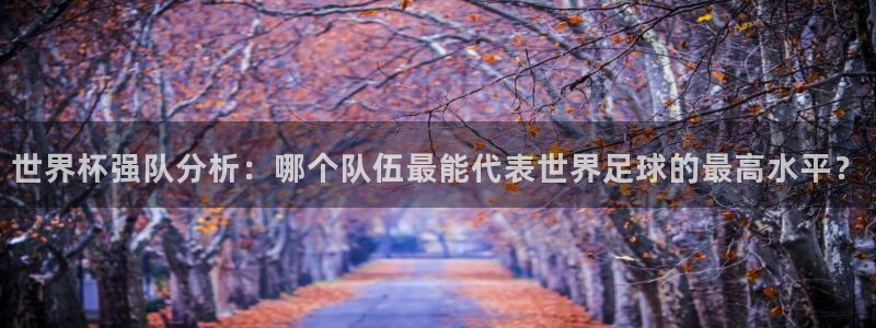 2006年世界杯冠军：世界杯强队分析：哪个队伍最能代表世界足球的最高水平？