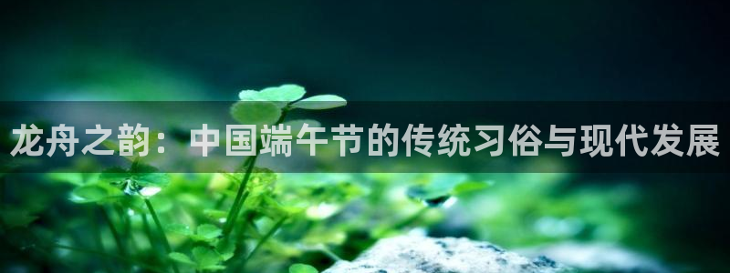 世界杯预选赛赛程时间表：龙舟之韵：中国端午节的传统习俗与现代发展