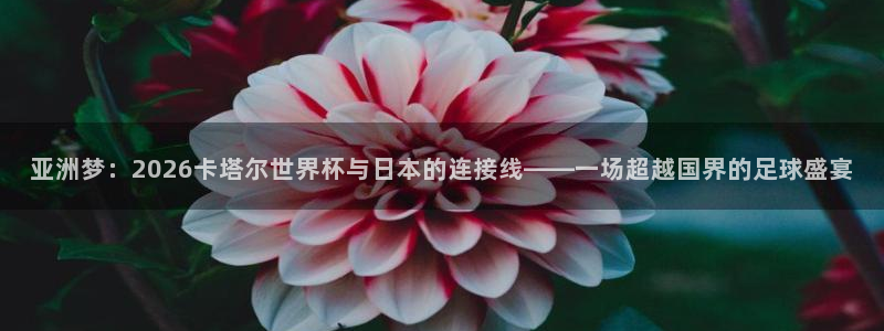 2026世预赛赛程表：亚洲梦：2026卡塔尔世界杯与日本的连接线——一场超越国界的足球盛宴