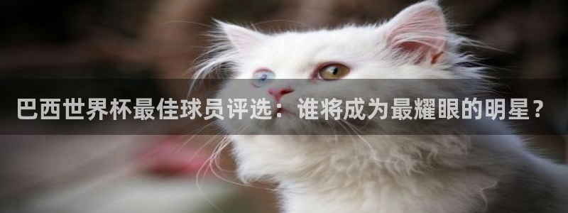 世界杯比赛赛程：巴西世界杯最佳球员评选：谁将成为最耀眼的明星？