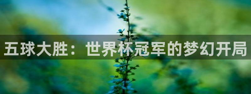 2026年世界杯对阵图：五球大胜：世界杯冠军的梦幻开局