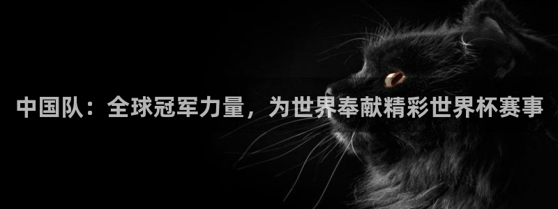 世界杯附加赛赛程表：中国队：全球冠军力量，为世界奉献精彩世界杯赛事