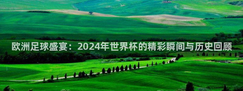 2026世界杯亚洲区预选赛赛程：欧洲足球盛宴：2024年世界杯的精彩瞬间与历史回顾